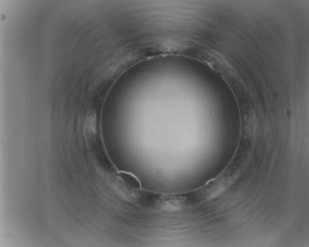 X0000062890368200601201851