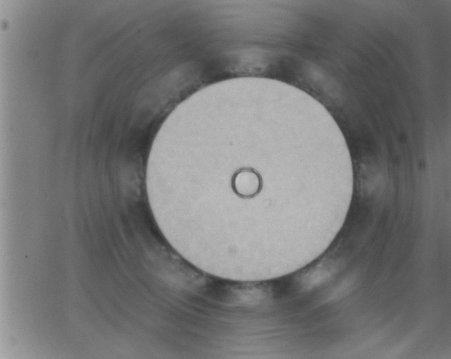 X0000062890370200601201852