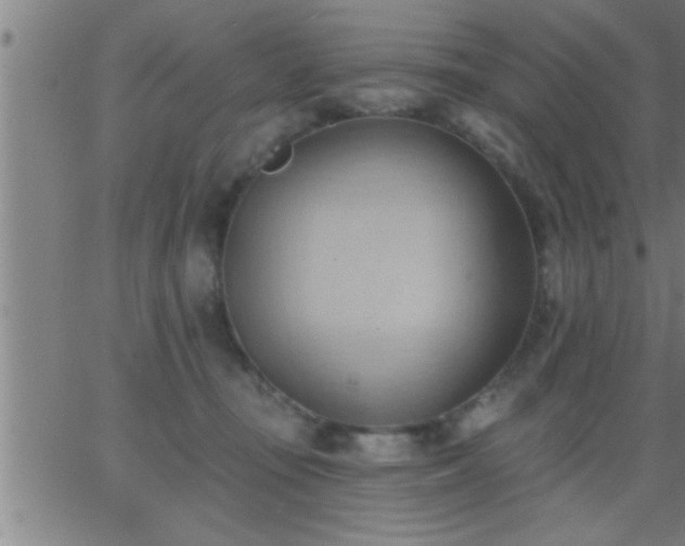 X0000062890371200601201852