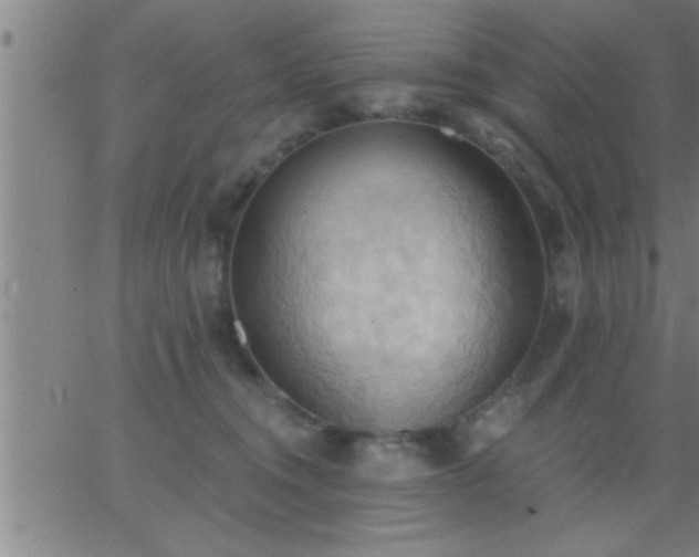 X0000062890372200601201852