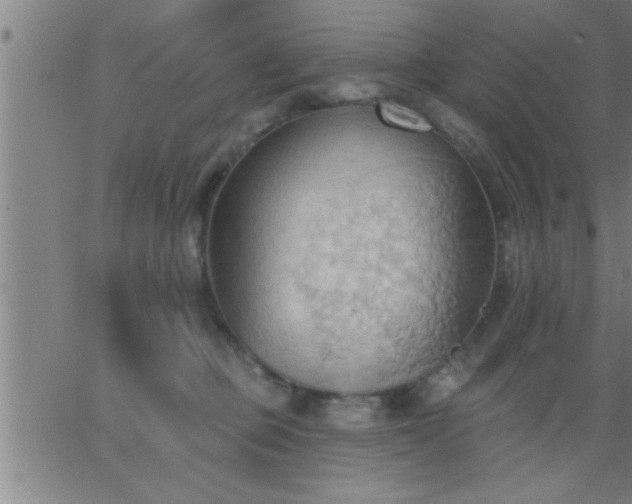 X0000062890373200601201852