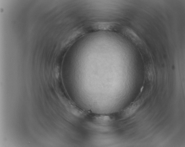 X0000062890374200601201852