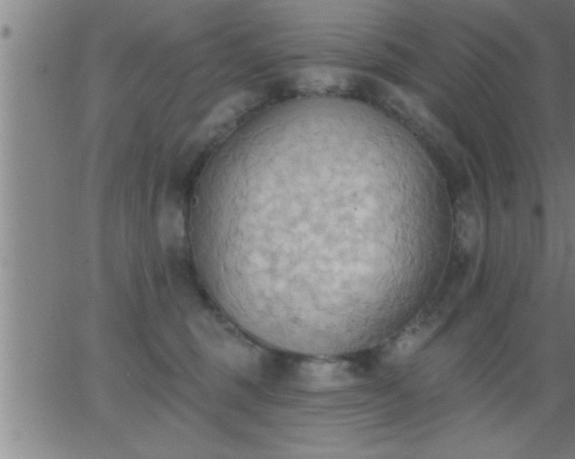 X0000062890375200601201852