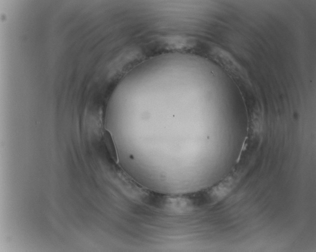 X0000062890376200601201852