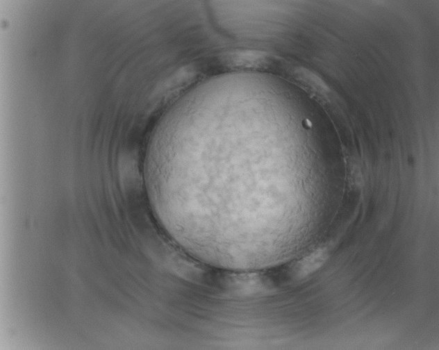 X0000062890377200601201852