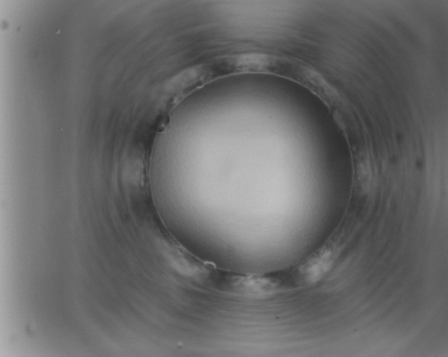 X0000062890379200601201852