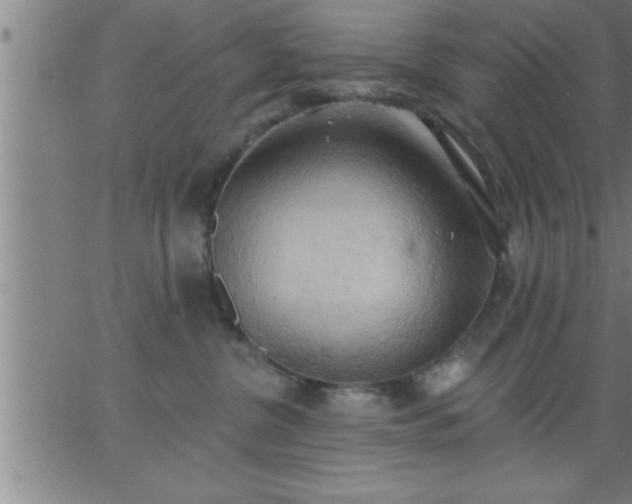 X0000062890380200601201852