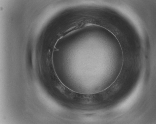 X0000062890382200601201852