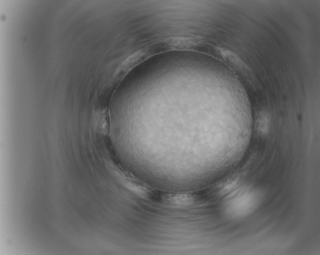 X0000062890383200601201852