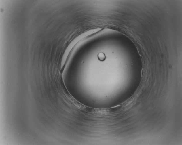 X0000062890384200601201852