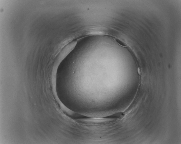 X0000062890385200601201851