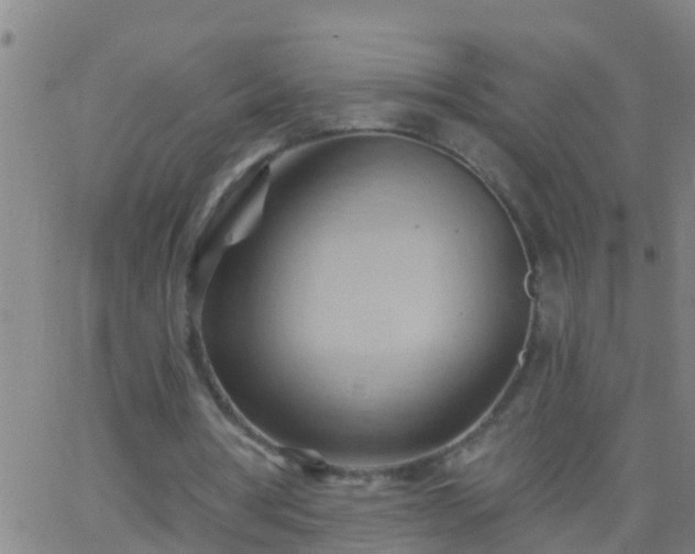 X0000062890386200601201851