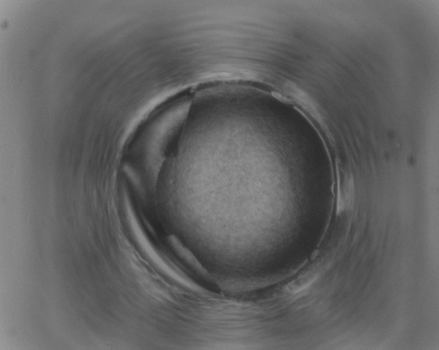 X0000062890387200601201851