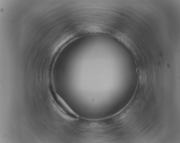 X0000062890390200601201851