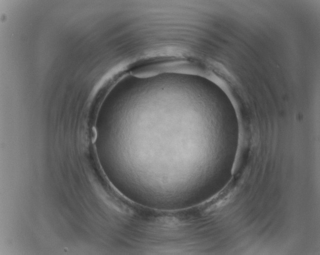 X0000062890392200601201851