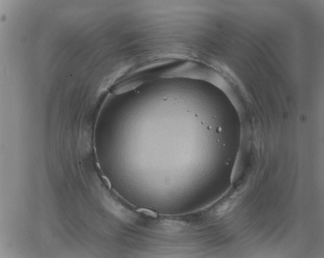 X0000062890393200601201851