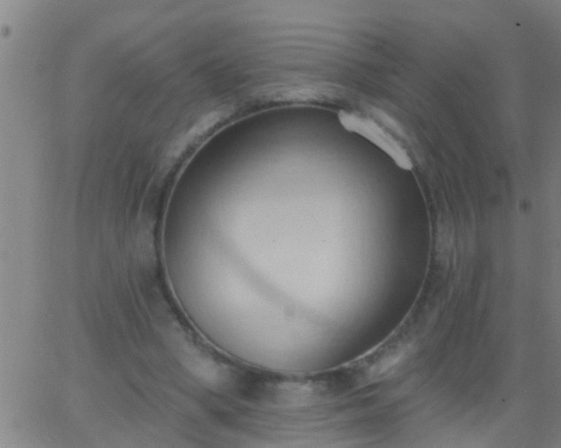 X0000062890394200601201851