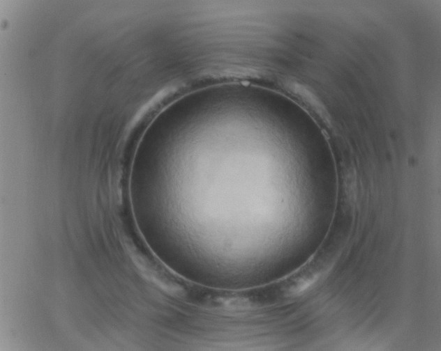 X0000062890395200601201851