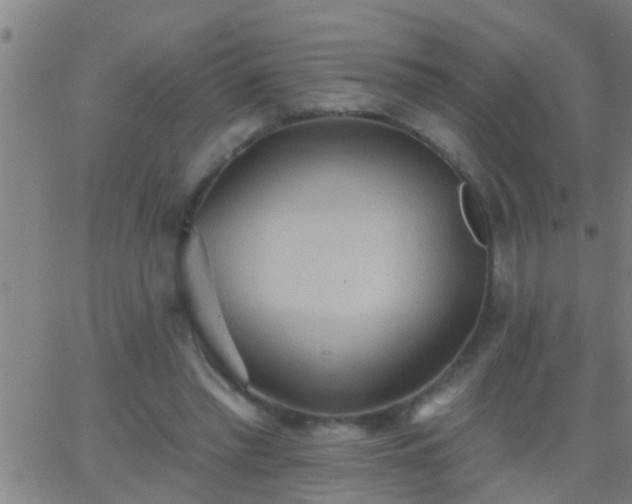 X0000062890397200601201851