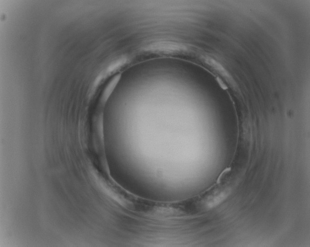 X0000062890399200601201851