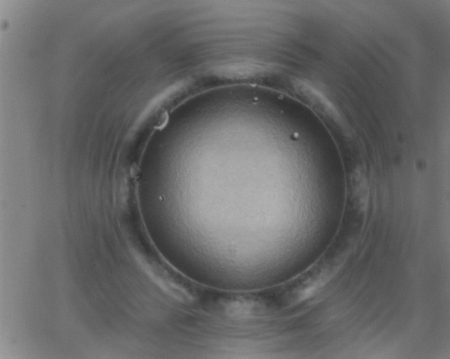 X0000062890400200601201851