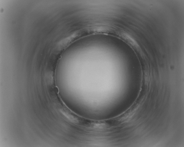 X0000062890401200601201851