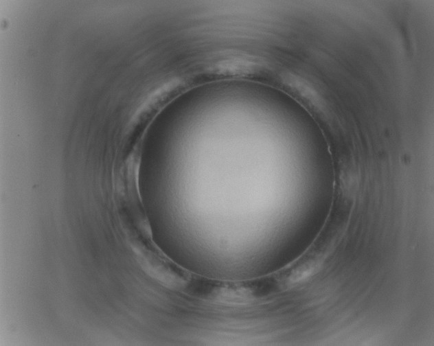 X0000062890403200601201851