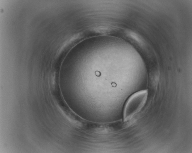 X0000062890404200601201851