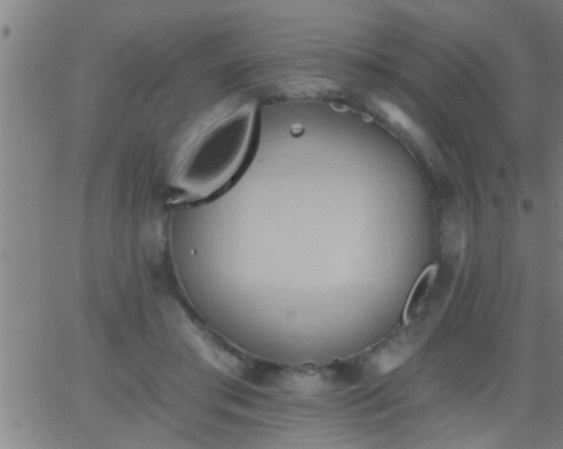 X0000062890405200601201851