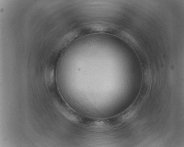 X0000062890406200601201851