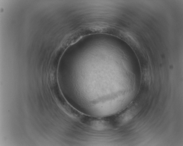 X0000062890408200601201851