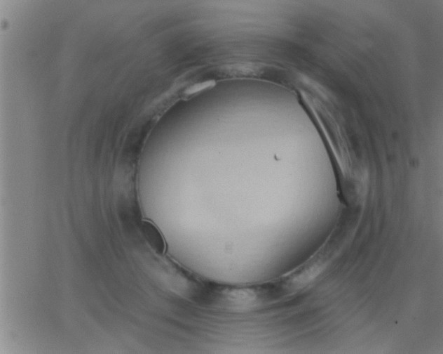 X0000062890409200601201851