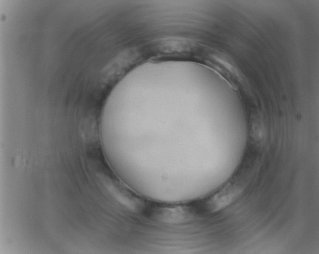 X0000062890411200601201851