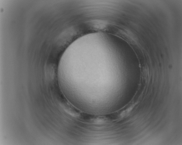 X0000062890412200601201851