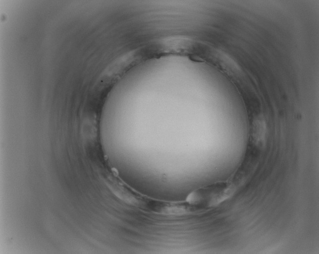 X0000062890413200601201850