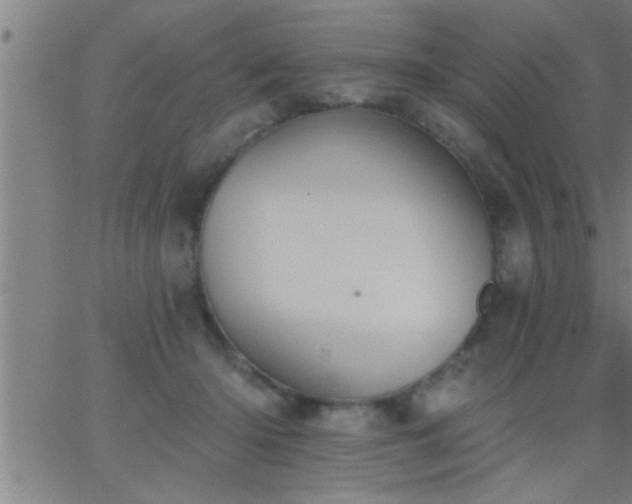 X0000062890414200601201850