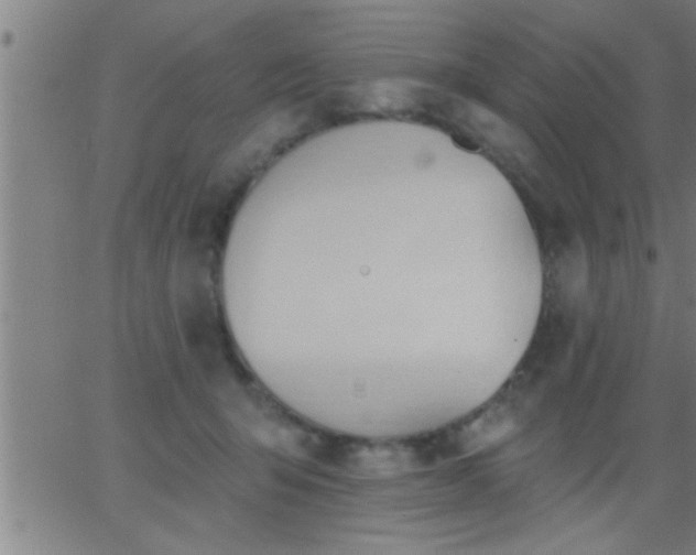 X0000062890415200601201850