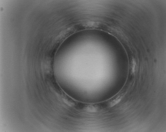 X0000062890416200601201850