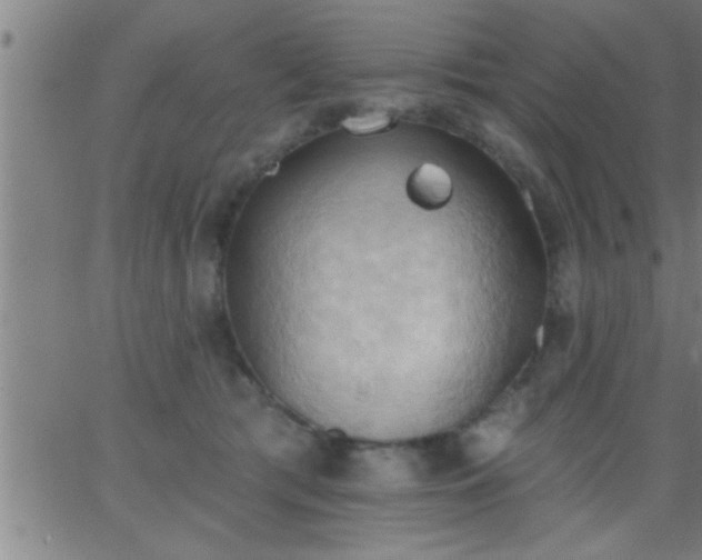 X0000062890417200601201850