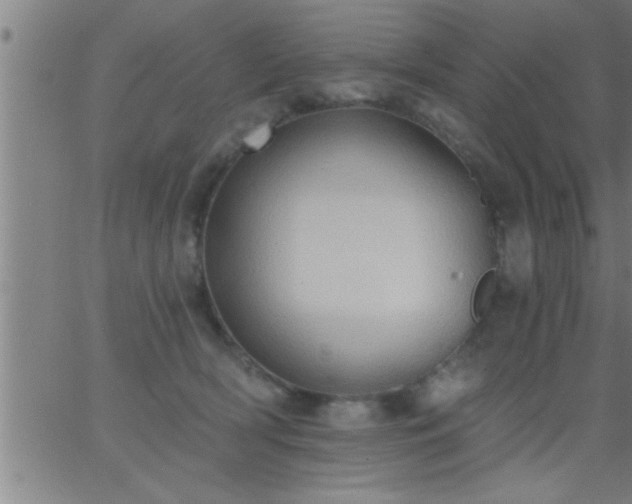 X0000062890418200601201850