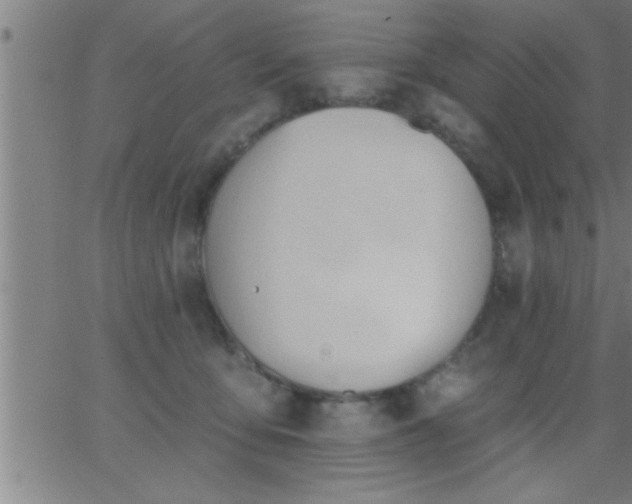 X0000062890419200601201850