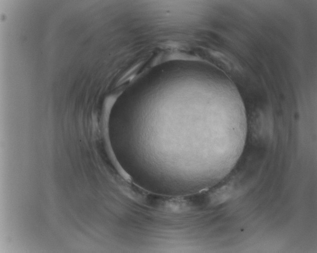 X0000062890420200601201850