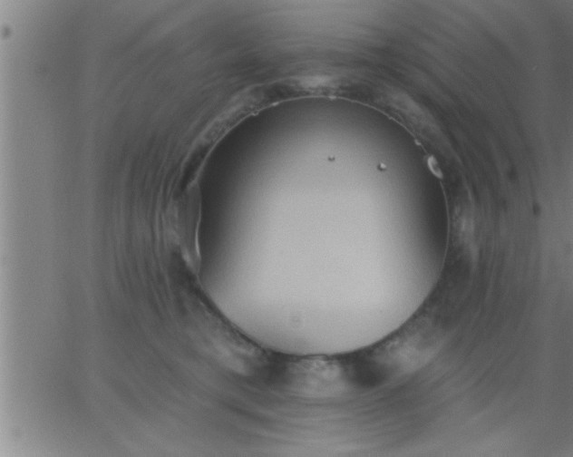 X0000062890421200601201850