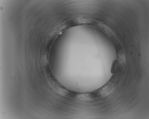 X0000062890422200601201850