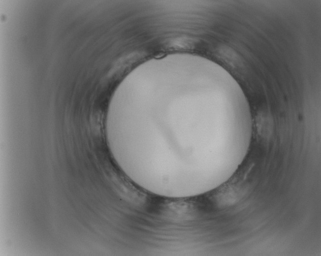 X0000062890423200601201850