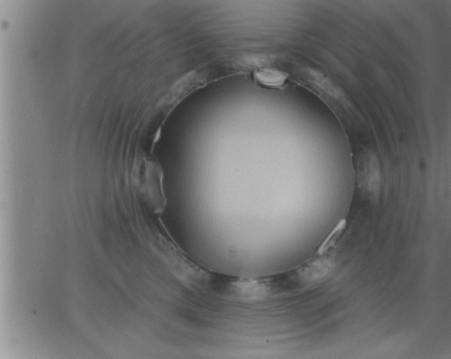 X0000062890425200601201850