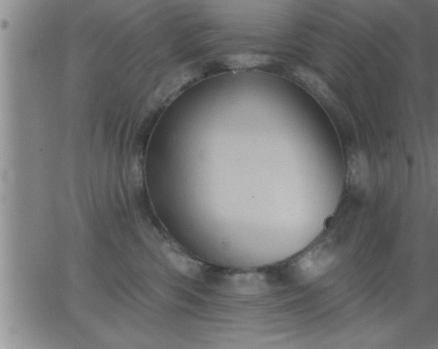 X0000062890426200601201850