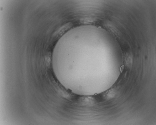 X0000062890427200601201850