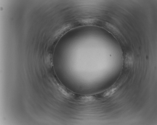 X0000062890428200601201850