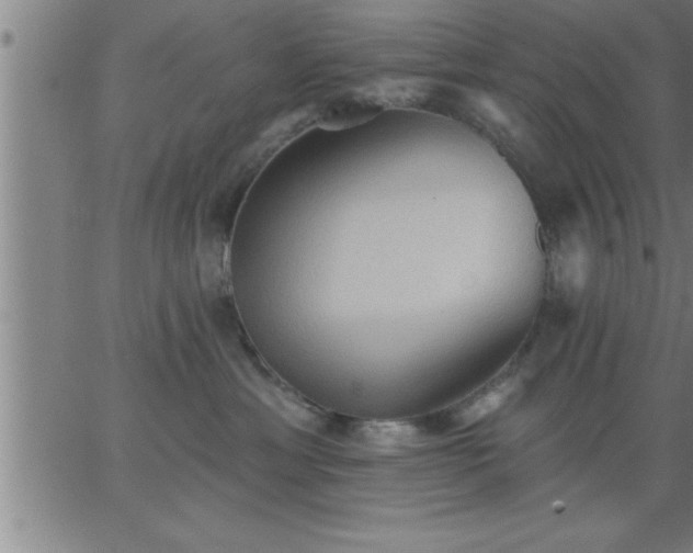 X0000062890429200601201850